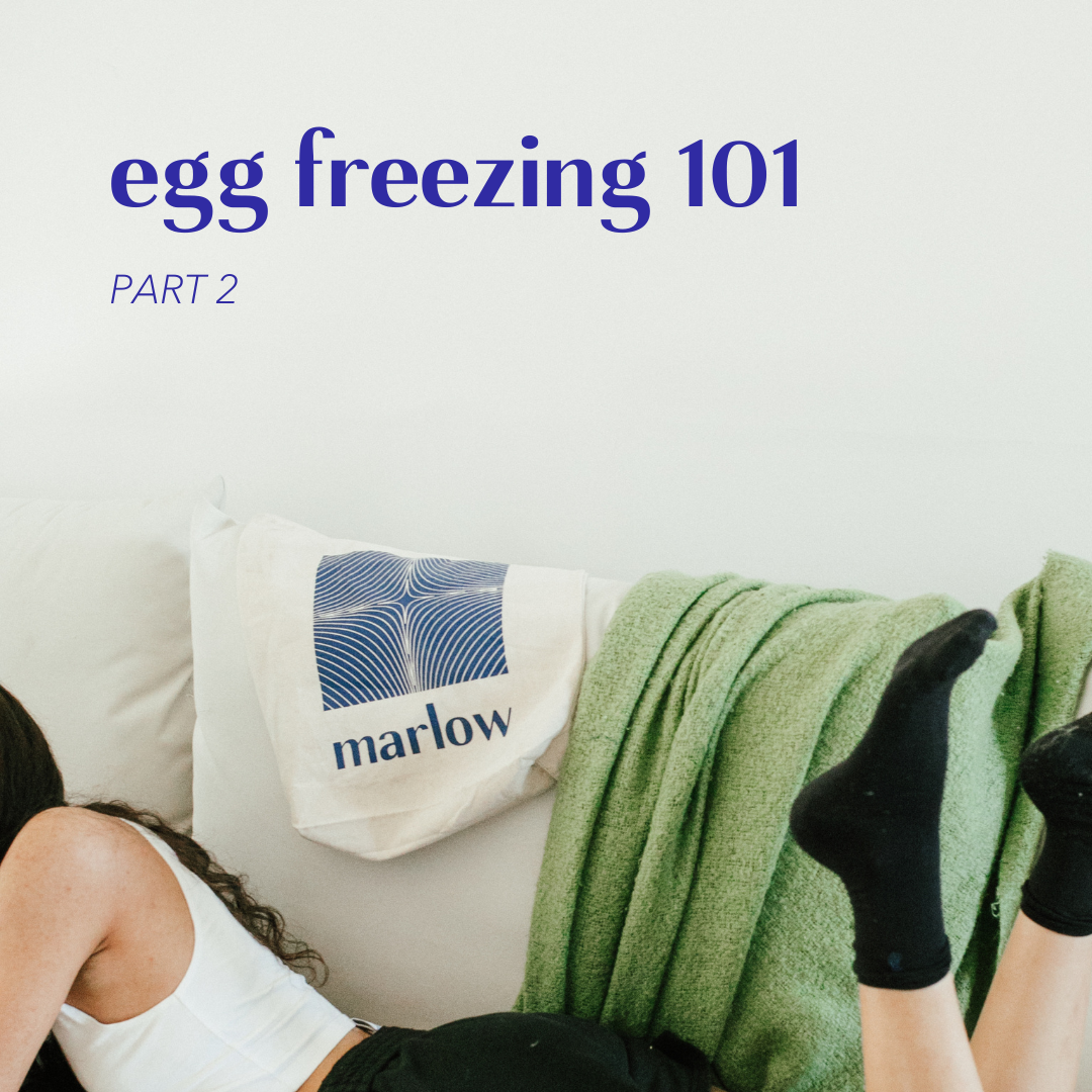 how-much-does-it-cost-to-freeze-your-eggs-marlow